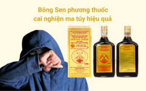 Bông Sen phương thuốc cai nghiện ma túy hiệu quả