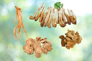 Bên trong dây chuyền sản xuất thuốc Bông Sen Kiểm soát chất lượng nghiêm ngặt 3 Kiểm soát nguyên liệu đầu vào
