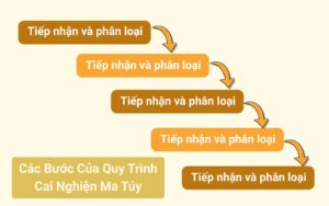 Các Bước Của Quy Trình Cai Nghiện Ma Túy