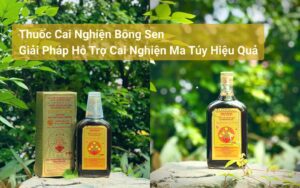 Thuốc Cai Nghiện Bông Sen Giải Pháp Hỗ Trợ Cai Nghiện Ma Túy Hiệu Quả