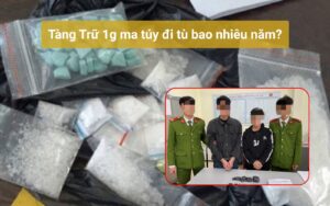 Tàng Trữ 1g ma túy đi tù bao nhiêu năm