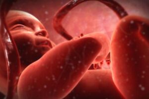 HIV ủ bệnh bao lâu? Dấu hiệu nhận biết và giai đoạn phát triển của virus 4 Đường lây nhiễm